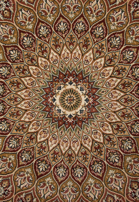 Traditional Design Da Vinci Rug