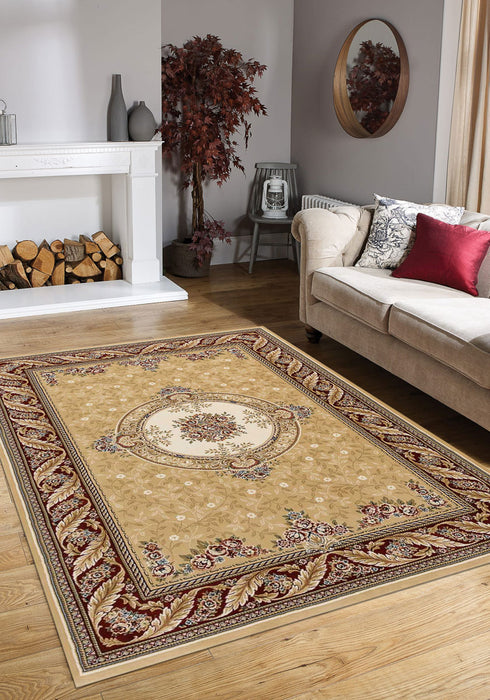 Traditional Design Da Vinci Rug (57231-2424)- Rugs direct 