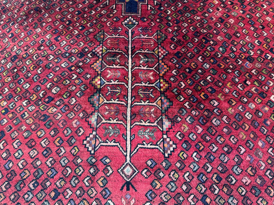 Persian Hand Knotted Shiraz Rug Size: 211 x 306cm- Rugs Direct